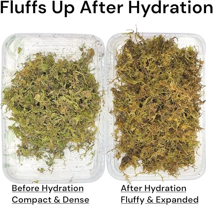 Sphagnum Moss Substrate for Reptiles & Terrariums (1)