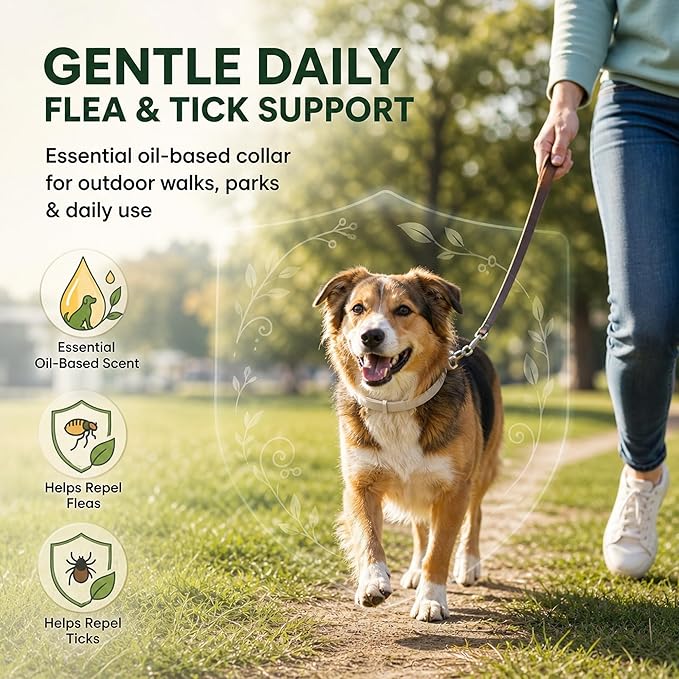 Flea and Tick Prevention Collars for Dogs: Natural Essential Oil Pet Flea Tick Collar Treatment - Break-Away Collars for Extra Large, Medium, Small Dogs, Fleas Ticks Control for Puppies