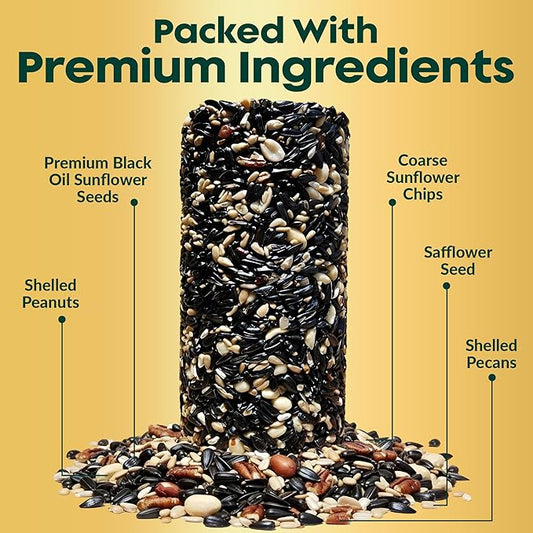 All Year Round Bird Seed Cylinders with Hole – All Season Wild Bird Food for Blue Jays, Cardinals, Doves, Finches & More – High Energy All Natural Blend, No Fillers – USA Made (4" x 7.75") 2 Pack