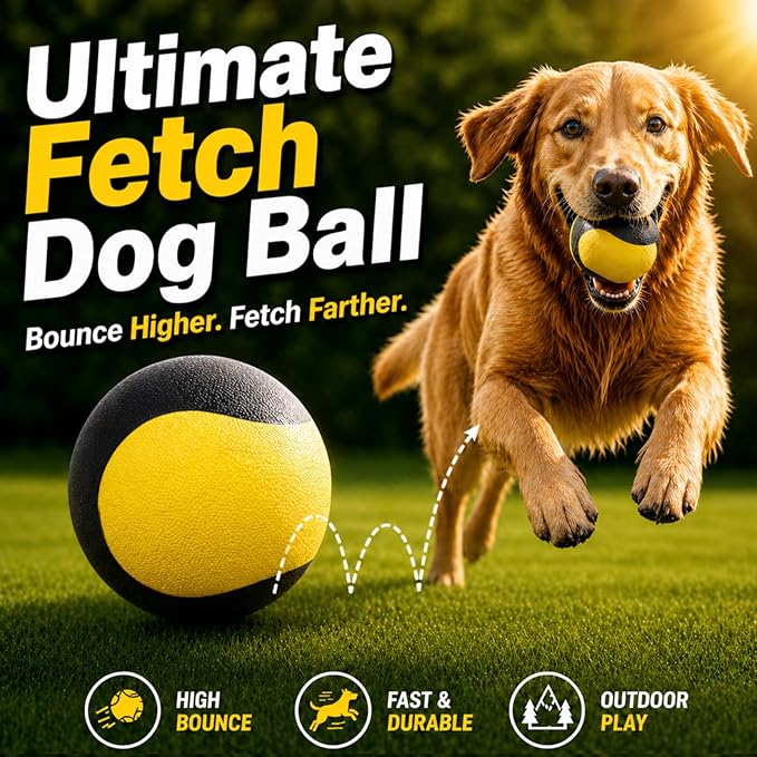 Squeaky Dog Ball for Fetch – Floating Rubber Ball for Water Play, Easy to Spot, Keeps Dogs Engaged, Durable for Pool, Lake & Outdoor Use, 2.7 Inch for Small & Medium Dogs