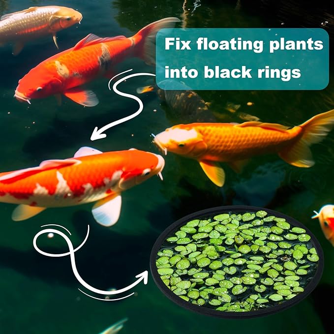 OIIKI 10 PCS Fish Feeding Rings Set - Floating Aquarium Plant Corral, Oval Rings, Tank Accessories - Black, 5 Sizes
