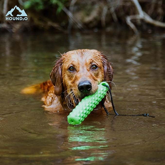 Dog Toys | Rope Bumper Floating Outdoor Toy for Dogs | Bright Green Fetch Toy