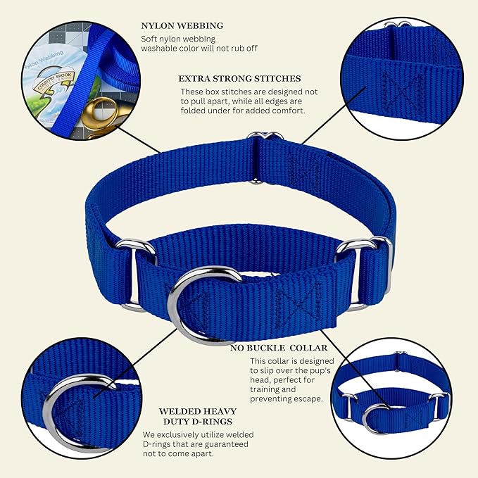 Country Brook Petz - Martingale Dog Collar - Heavy-Duty Training Collar with No Buckle - Service Dog Collar for All Pups - 20 Vibrant Colors (Royal Blue, 1 Inch, Medium)