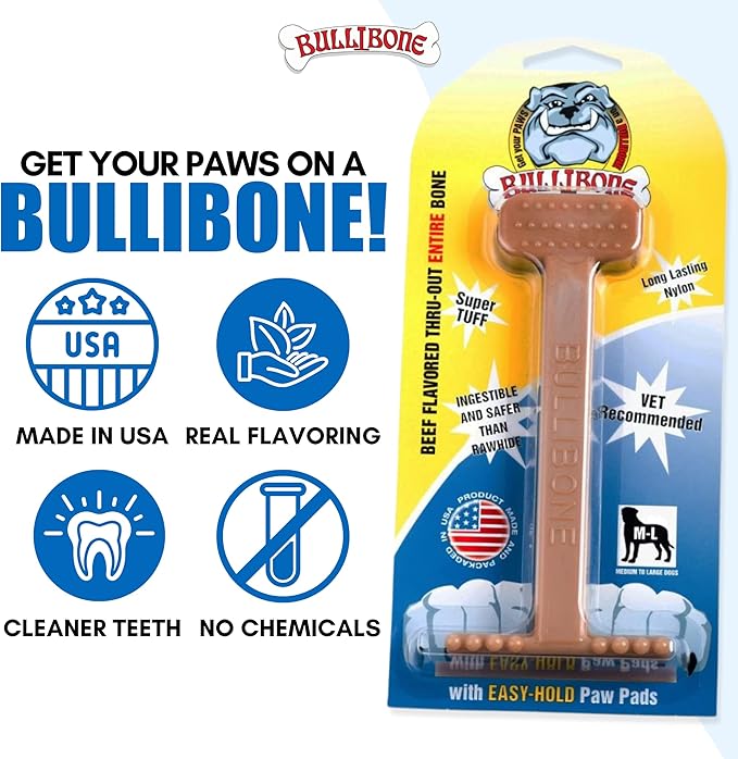 Bullibone Nylon Dog Chew Toy for Aggressive Chewers - Dental Hygiene Bone with Beef Flavor, Durable Tough Chew Toys for Small Dogs, Indestructible Dog Bone - 2 Pack