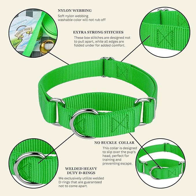 Country Brook Petz - Martingale Dog Collar - Heavy-Duty Training Collar with No Buckle - Service Dog Collar for All Pups - 20 Vibrant Colors (Hot Lime Green, 1 Inch, Medium)