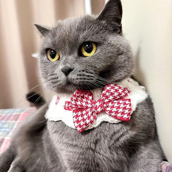Elegant Lace Cat Collar with Cute Bow,Kitty Collars with Bow Tie,Pet Lace Bib Collar with Cute Bow,Cat Princess Costumes,Red,1 Piece