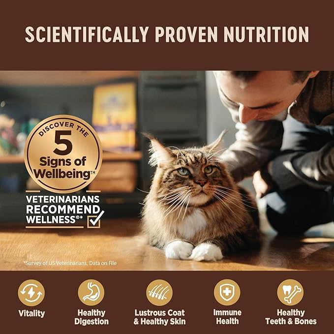 Wellness CORE Pate Kitten Canned Wet Cat Food, Natural, Protein Rich, Grain Free, Turkey and Chicken Liver Recipe, 3 oz, Pack of 12 Cans