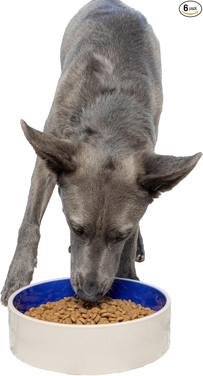 SPOT Standard Crock Dish - Heavy Duty, Non-Slip, Round Ceramic Food/Water Bowl for Pets, Ideal for Medium to Large Dogs or Multiple Animals, Dishwasher Safe - 9.5 in, 8 Cups, (64 Oz)(Pack of 6)