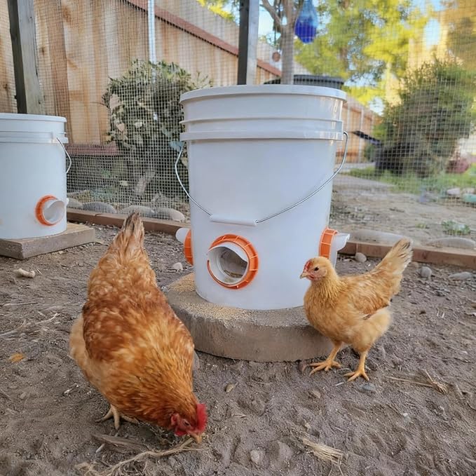 Chicken Feeder Port, 6 Pack Chicken Feeders No Waste with 6 Lids 1 Drill Bit, DIY Automatic Poultry Feeder Cups Kit, Chicken Bucket Feeder for Barrels ((Orange)
