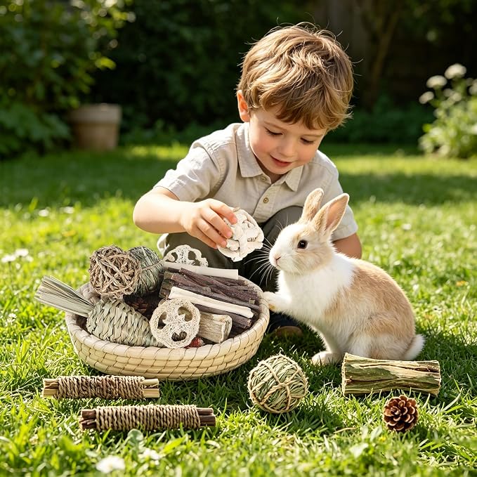 Foxtell 19Pcs Bunny Chew Toys, Rabbit Chew Sticks, Guinea Pig Toy, Natural Bunny Toys Chew and Treat for Guinea Pigs, Chinchillas, Hamsters and Other Small Pets