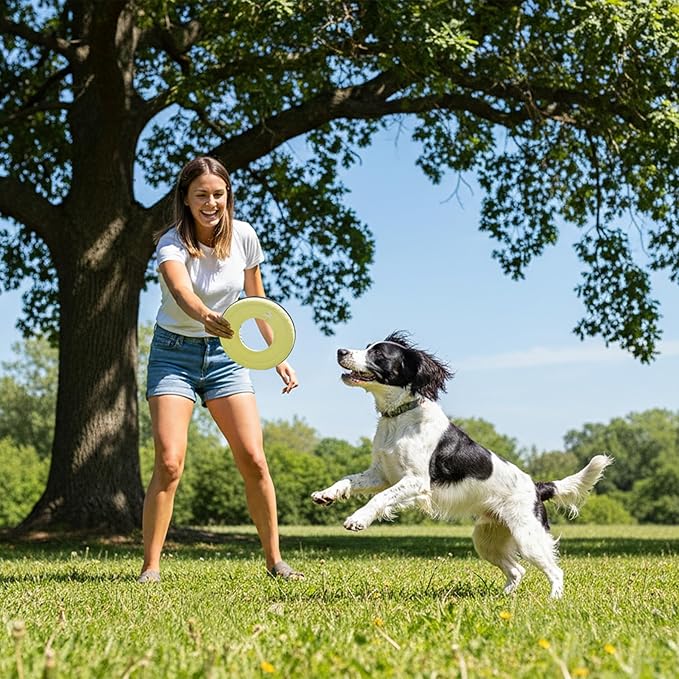OllyDog Mini Super Flyer, Floating Dog Disc for Water Play – Soft Durable Dog Fetch Toy, Eco-Friendly Recycled Material, Gentle on Teeth, Lightweight Flying Disc for Medium, Small Dogs (Sol, 9")