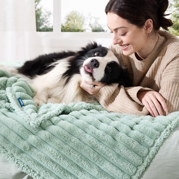 Bedsure ComfyFleece™ Waterproof Dog Blankets for Large Dogs - Soft Pet Cat Blanket Corduroy Fleece for Bed Protector Washable, Cozy Calming Reversible Furniture Protection,60"x80", Garden Green
