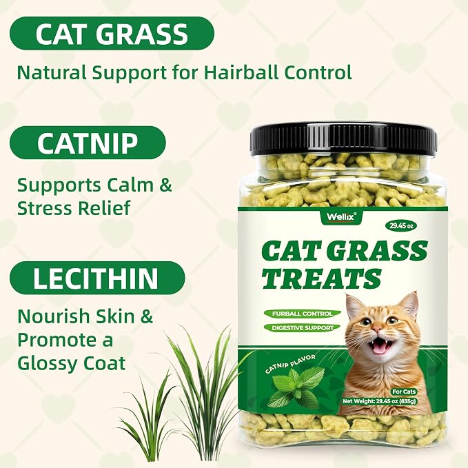 Wellix 29.45 oz Cat Grass Treats with Catnip & Salmon - Healthy Cat Treats for Indoor Cats - Hairball Control & Digestive Support - Kittens Training Snacks for Teeth Cleaning