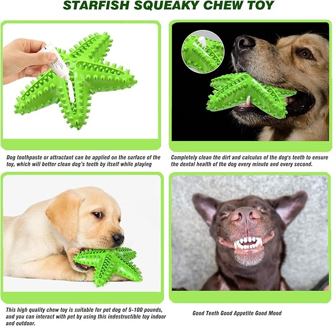 Squeaky Dog Toys - Starfish Natural Teeth Cleaning Toy for Small & Medium Dogs (Green)