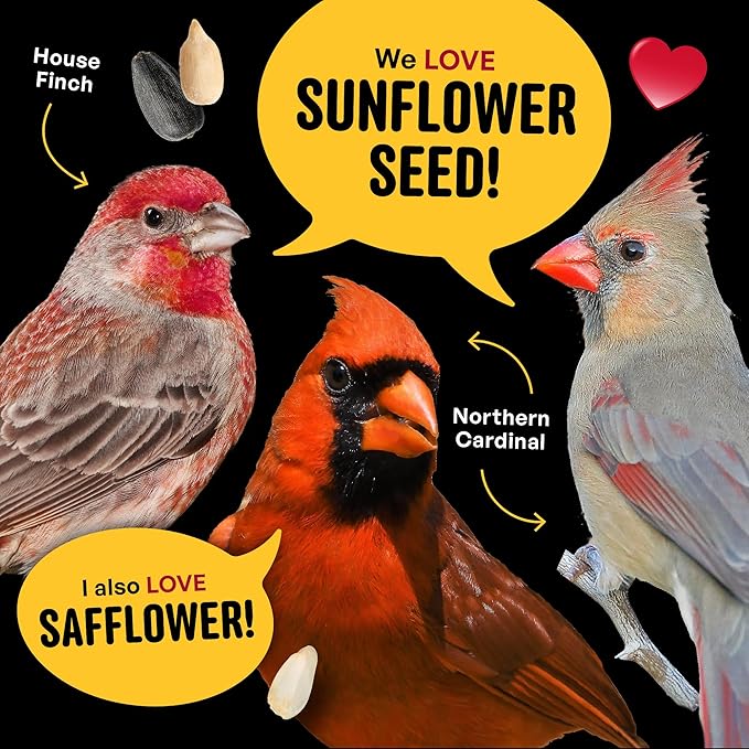 Cool Birds Cardinal & Crew Wild Bird Seed – 10 lb. Black Oil Sunflower, Sunflower Hearts & Safflower Blend for Cardinals, Grosbeaks & Chickadees – Bird Food for Outside Feeders