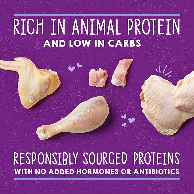 Stella & Chewy's Carnivore Cravings Savory Shreds - Wet Cat Food - High-Moisture Formula with Premium Real Meat - Perfect for Picky Eaters - Chicken & Turkey, 5.2 oz, 8 Count
