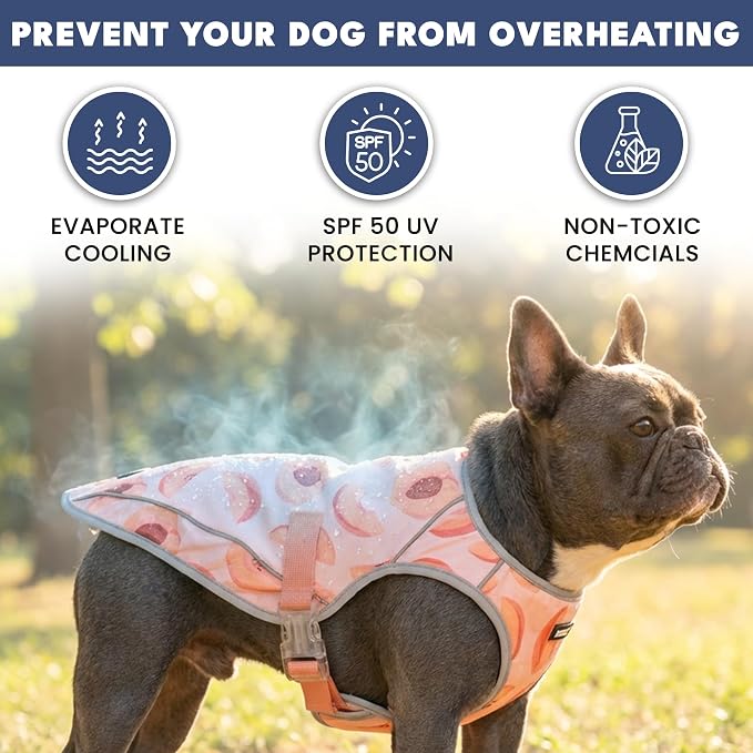Spark Paws Dog Cooling Vest - SPF 50 UV Sun Protection - Summer Heat Relief Gear for Dogs, Lightweight, Evaporative Cooling - Dog Anxiety Relief Vest During Hot Days - Peaches - Size M