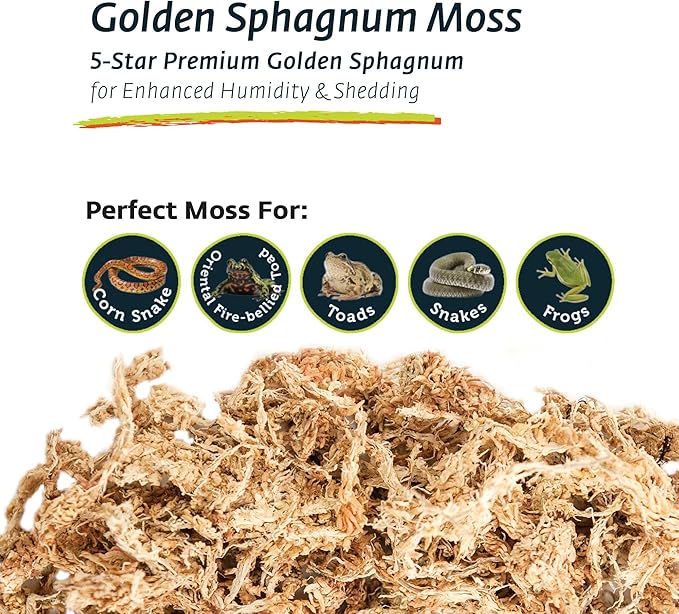 Galápagos (05203) 5-Star Golden Sphagnum Moss | Long-Fiber Snake Bedding, Reptile Substrate & Terrarium Moss for Frogs, Toads, Carnivorous Plants, Leopard Geckos, Snakes, and Amphibians, 1/3 Pound