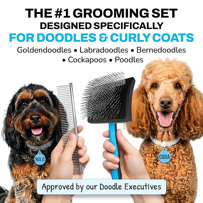 Grooming Kit, Slicker Dog Brush and Finishing Comb Set, Detangler & Dematting Grooming Tools for Dogs, Extra Long Pin Slicker & Metal Comb for Goldendoodle, Cockapoo, Cavapoo, Poodle