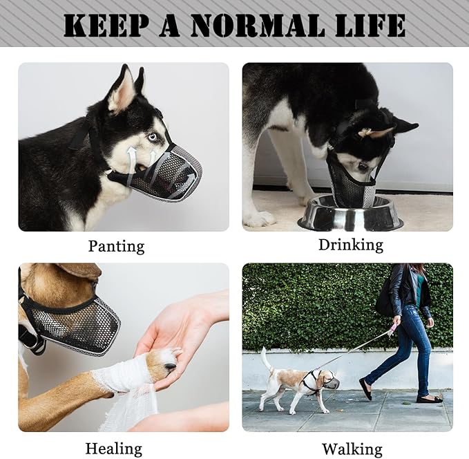 Mayerzon Dog Muzzle, Patented Mesh Soft Muzzles for Large Medium Small Dogs Poodle Husky Doberman Labrador Retriever for Scavenging Grooming Biting Chewing, Breathable Reflective Mussel with Collar