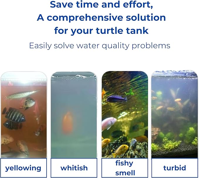 Acrylic Fish Feeding Box Ring for Turtle and Filter Balls Set, Betta Feeding Ring with Nitrifying Balls, Fish Feedings Box, Food Holder, Turtles Enrichment Toys, Tank Accessories (Clear, S)