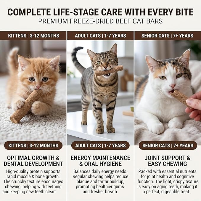 Cat Toy, Kitten Chew Sticks, 250g/8.82oz Freeze Dried Premium Beef Dental Cat Treats for Teeth Cleaning, Long-Lasting Edible Snack for Indoor Cats, High Value Kitty Food (No Cat Grass)