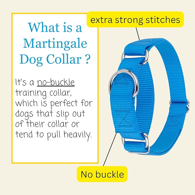Country Brook Petz - Martingale Dog Collar - Heavy-Duty Training Collar with No Buckle - Service Dog Collar for All Pups - 20 Vibrant Colors (Ice Blue, 3/8 Inch, 2XS)
