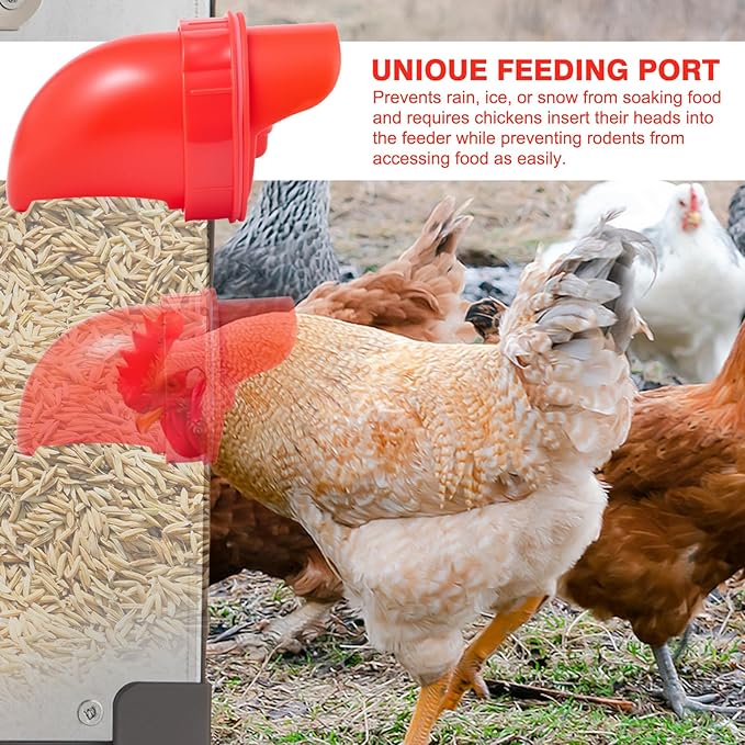 Metal Chicken Feeder, 40lb Automatic Chicken Feeder - 6 Feeding Ports, No Waste Poultry Feeder with Lid & Adjustable Legs for Chicken Coops, Weatherproof