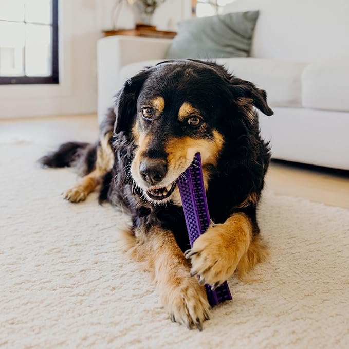 Playology Dog Toys | Dental Chew Stick for Large Senior Dogs | Pork Sausage Scented Jumbo Toy | Dog Chew Toy for Healthy Teeth and Gums