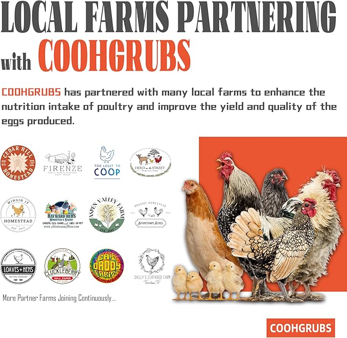 COOHGRUBS Black Soldier Fly Larvae for Chickens – 100% Natural Non-GMO Grubs, 85X More Calcium Than Dried Mealworms – Clean, Nutritious & Delicious High-Protein Poultry & Bird Treats, 2-lb Box