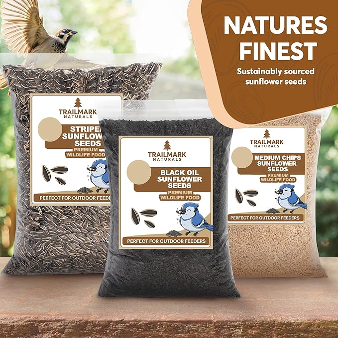 3 LB Black Oil Sunflower Seeds for Birds – Premium Wildlife & Bird Food – Grown in USA - Non-GMO - Black Oil Sunflower Seeds for Wild Birds and Backyard Feeders