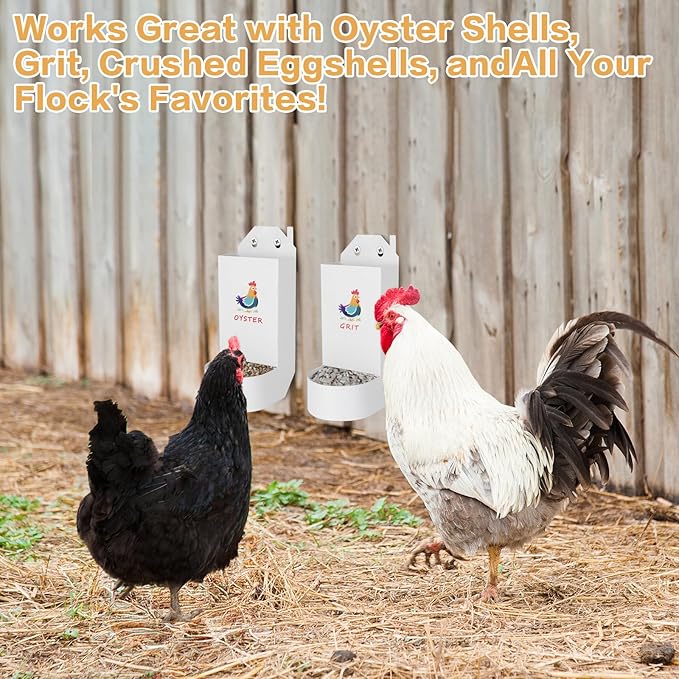 Chicken Grit and Oyster Shell Feeder,Metal Automatic Chicken Feeder,Chicken coop Accessories Poultry feeders, Suitable for Quail, Pigeons, Doves, Chicks