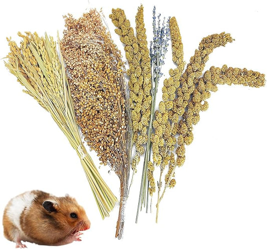 Fhiny Natural Hamster Bedding Mate, Edible Hamster Sprays Flowers & Herbs Gerbil Habitat Enclosure Decor Grain Treats Cage Accessories for Dwarf Syrian Hamster Gerbil Degus Lemming Mice