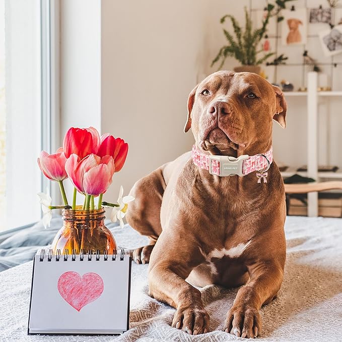 ARING PET Girl Dog Collar, Cute Spring Summer Pink Bow Puppy Pet Collars Necklace for Small Medium Large Female Dogs-M