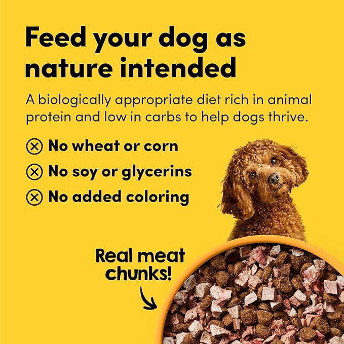Raw Freeze Dried Dog Food RawMix50 Premium Cage-Free Chicken Recipe, Protein Rich, Includes Kibble, Non-GMO, No Wheat or Corn, 4 lbs