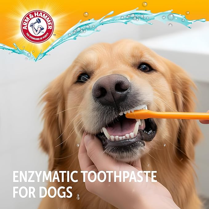 ARM & HAMMER Dog Dental Kit - Enzymatic Dog Toothpaste 2.5 oz Chicken Flavor - Dog Toothbrush & Finger Brush - Tartar & Gum Cleaning with Baking Soda Enhanced Formula - Complete Dental Care for Dogs