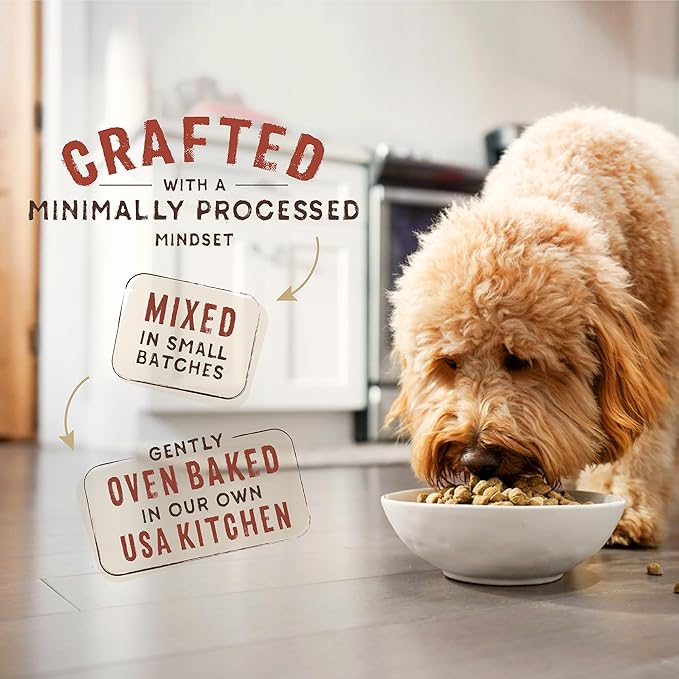 Stella & Chewy's SuperBlends Raw Coated Wholesome Grains Puppy Cage-Free Chicken & Wild-Caught Salmon Recipe with Superfoods, 3.5 lb. Bag