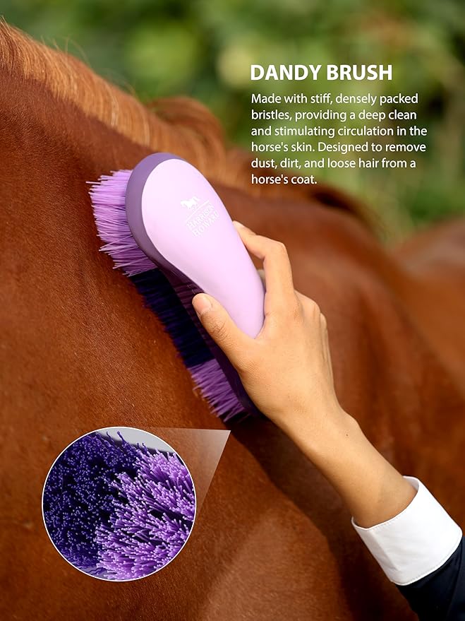 Harrison Howard Horse Grooming Kit, 7 Piece Horse Brush Set with Curry Comb, Hoof Pick, Sweat Scraper & Bag Purple