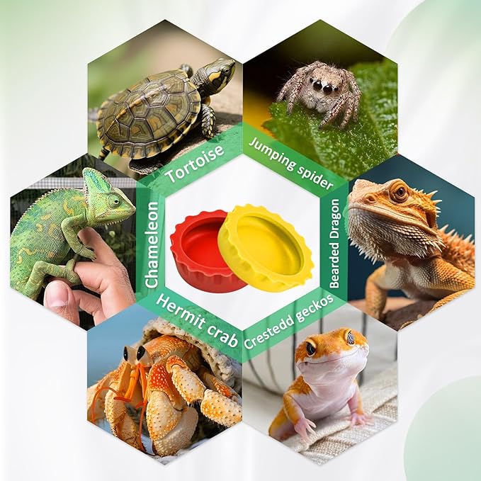 30 Pcs Crested Gecko Food and Water Feeding Cups, Colorful Water Bowl, Reptile Food Dish for Tortoise, Small Pet and Crab (Multicolor)