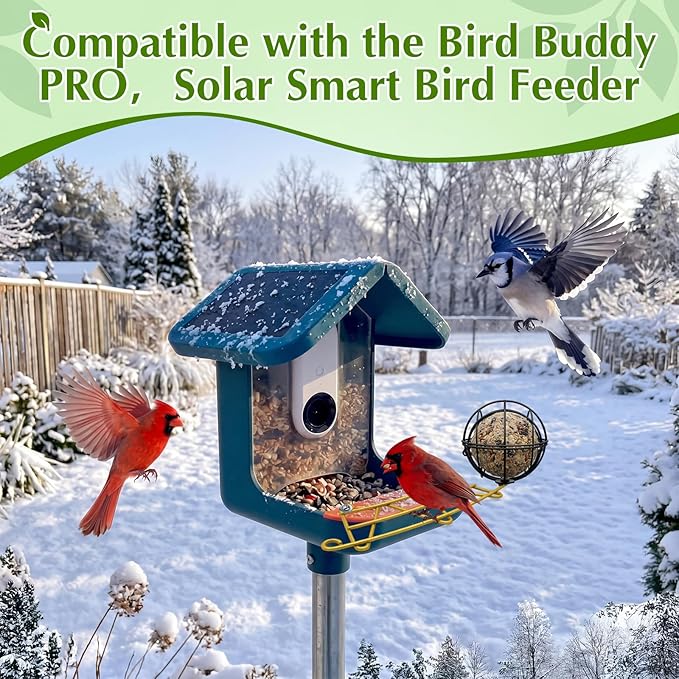 Metal Perch Extender & Suet Ball Holder Compatible with Bird Buddy PRO Solar Bird Feeder, Rust-Resistant Outdoor Birds Feeder Accessory, Wider Landing Space, Add On with Screws Included