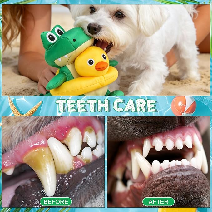 EXPAWLORER 2-in-1 Squeaky Floating Dog Toys for Small Medium Large Dogs, Crocodile & Duck Set Water Pool Toys with Squeakers, Interactive Outdoor Fetch Pet Toy for Beach Lake Summer Essentials