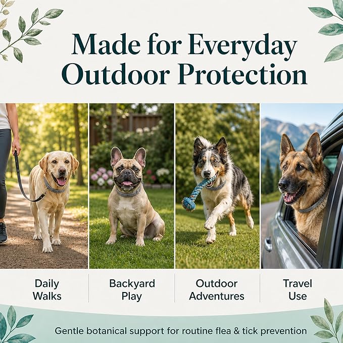 Flea and Tick Prevention Collars for Dogs: Natural Essential Oil Pet Flea Tick Collar Treatment - Break-Away Collars for Extra Large, Medium, Small Dogs, Fleas Ticks Control for Puppies