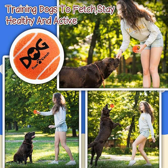 INSUM Squeaky Tennis Balls for Dogs, 6 Pack 2.5" Squeaky Dog Balls for Medium Large Breed, SGS Certified Non-Toxic, Interactive Fetch Toys, Perfect for Outdoor & Indoor Play