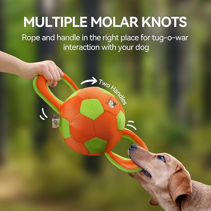 ALL FOR PAWS Dog Ball with Handles, Dog Toy with Squeaker, Interactive Tug of War Ball Toy for Medium and Large Dogs, Outdoor Ball Toys for Fetch & Tug Play, 15.7 x 7.9 x 7.9 Inch