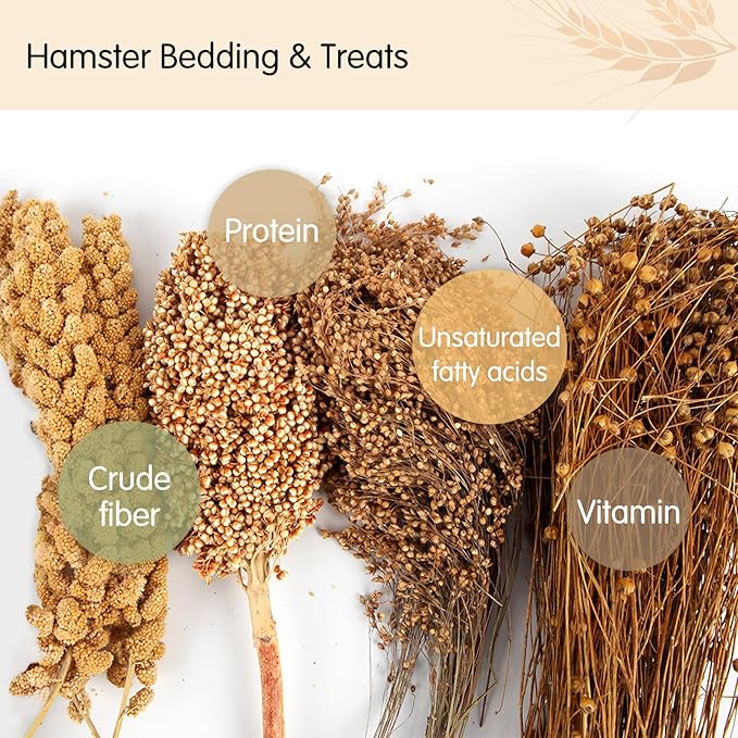 Fhiny Natural Hamster Bedding, Edible Hamster Sprays Flowers & Herbs Gerbil Habitat Enclosure Decor Grain Treats Cage Accessories for Dwarf Syrian Hamster Gerbil Mice Lemming Degus
