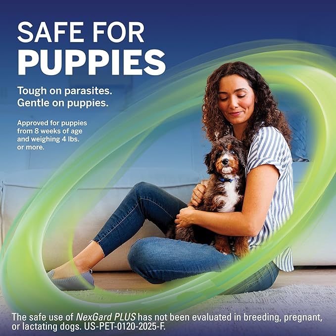 NexGard Plus (afoxolaner, moxidectin, and pyrantel) Flea and Tick Protection & Heartworm Preventive for Dogs Soft Beef Flavored Chewables, 4-8 lbs. (Orange ) 6 Chews (6 Month Supply)