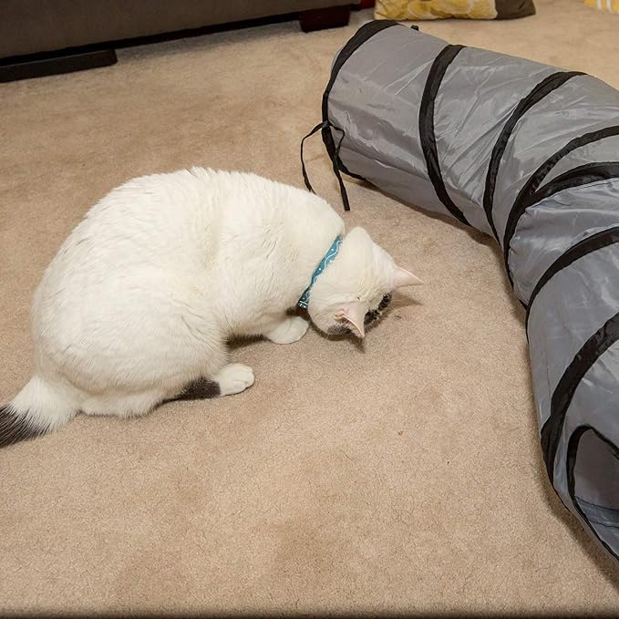 PetLike S Way Cat Tunnel Collapsible Pop-up Pet Tube Hideaway Play Toy with Ball (S-Way, Grey and Green)