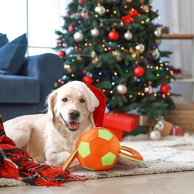 ALL FOR PAWS Dog Ball with Handles, Dog Toy with Squeaker, Interactive Tug of War Ball Toy for Medium and Large Dogs, Outdoor Ball Toys for Fetch & Tug Play, 15.7 x 7.9 x 7.9 Inch