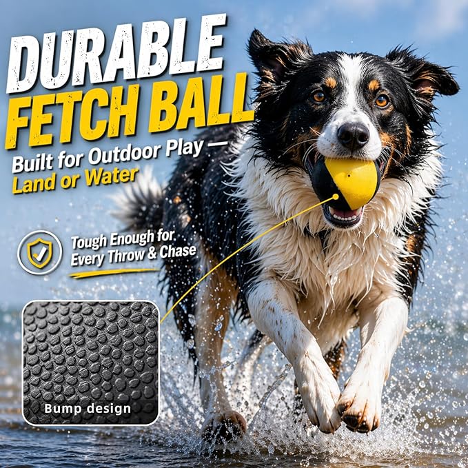 Squeaky Dog Ball for Fetch – Floating Rubber Ball for Water Play, Easy to Spot, Keeps Dogs Engaged, Durable for Pool, Lake & Outdoor Use, 2.7 Inch for Small & Medium Dogs