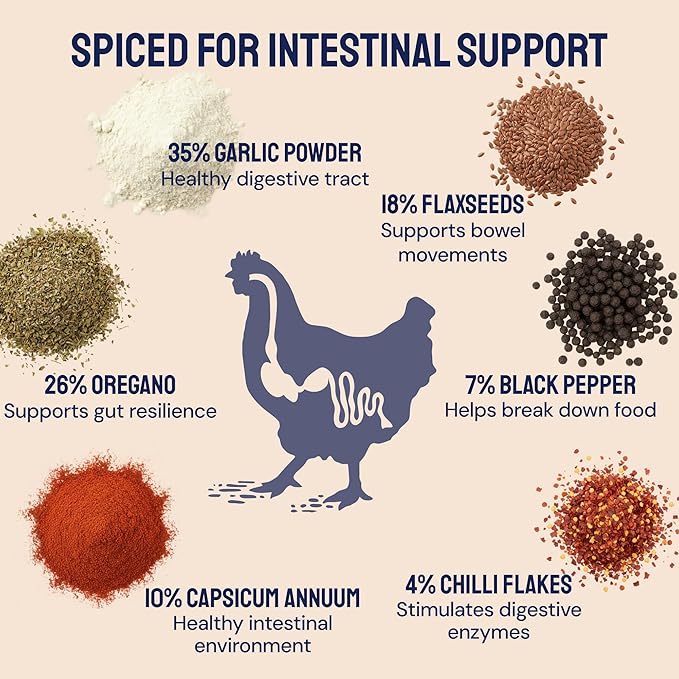 Hatortempt Spiced Black Soldier Fly Larvae for Chickens 10lb - High-Calcium, Organic Worm Treats for Laying Hens - Coated with a Chili Mix for Chickens